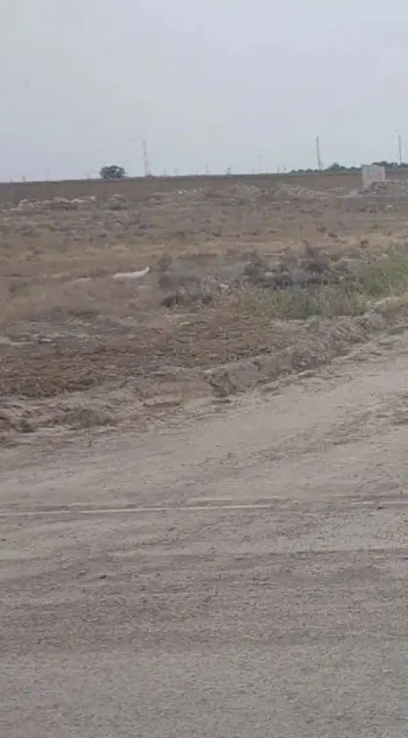 قطعه زمین ۲۸۰ متر سند تک برگ