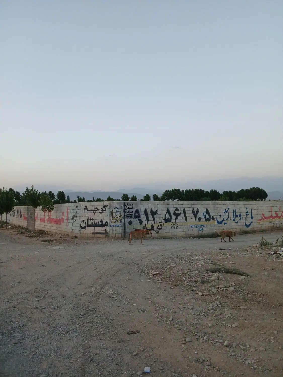 زمین بحر خیابان اصلی دو کله