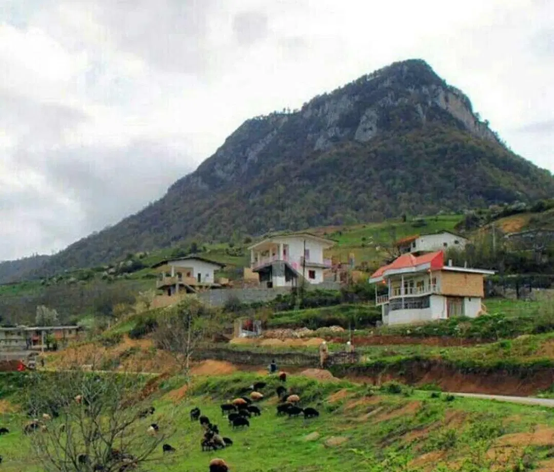 زمین باغی