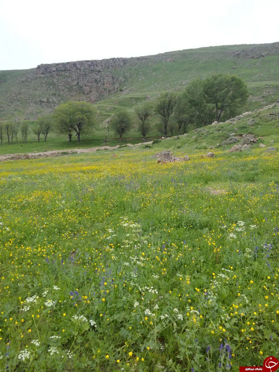 فروش زمین نزدیک به گنجنامه