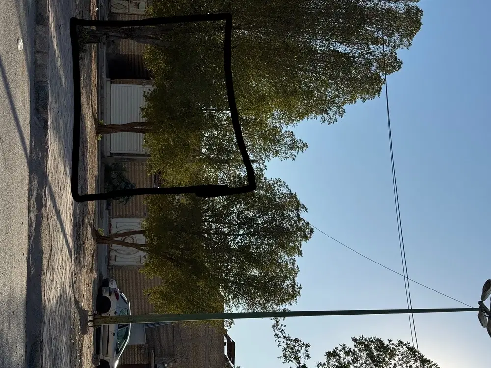 مغازه خیابان ارش