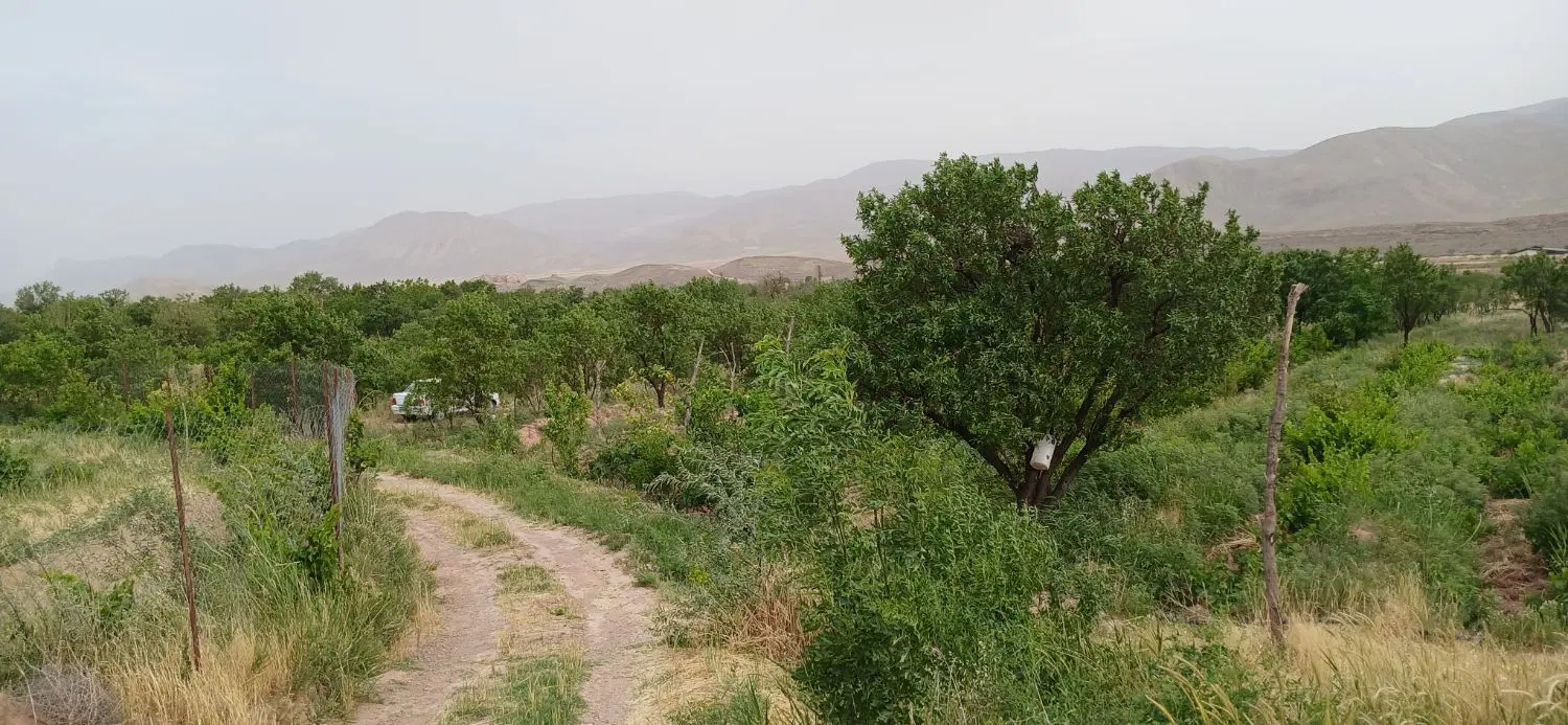 باغچه غرق آباد