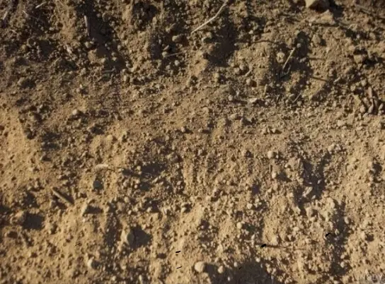 زمین روستای دهوسطی