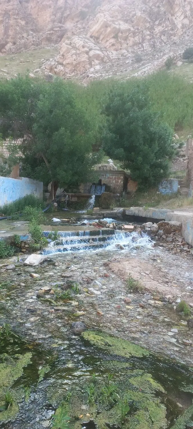 زمین مسکونی