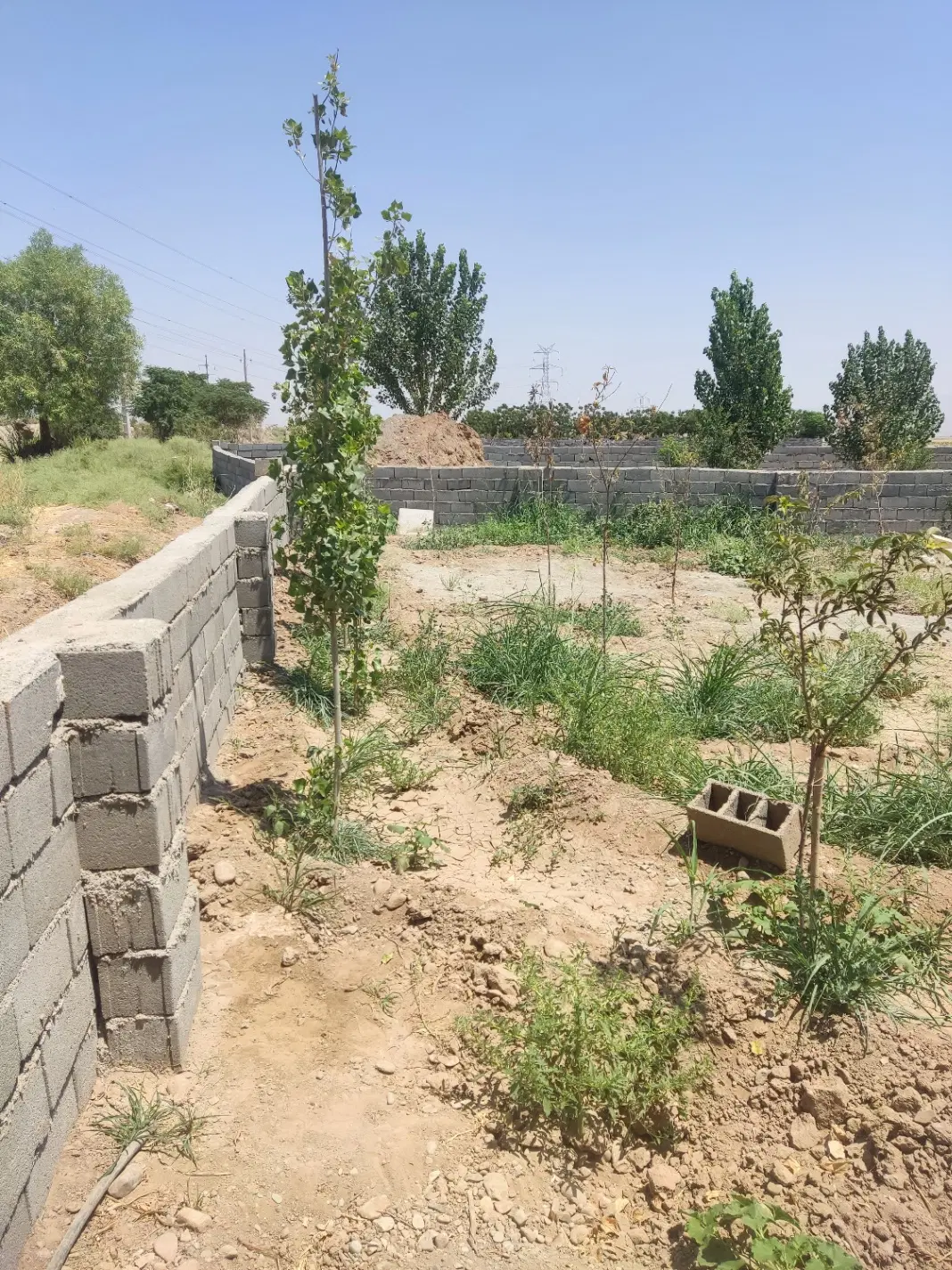 چهار دیوار ۳۰۰ متری
