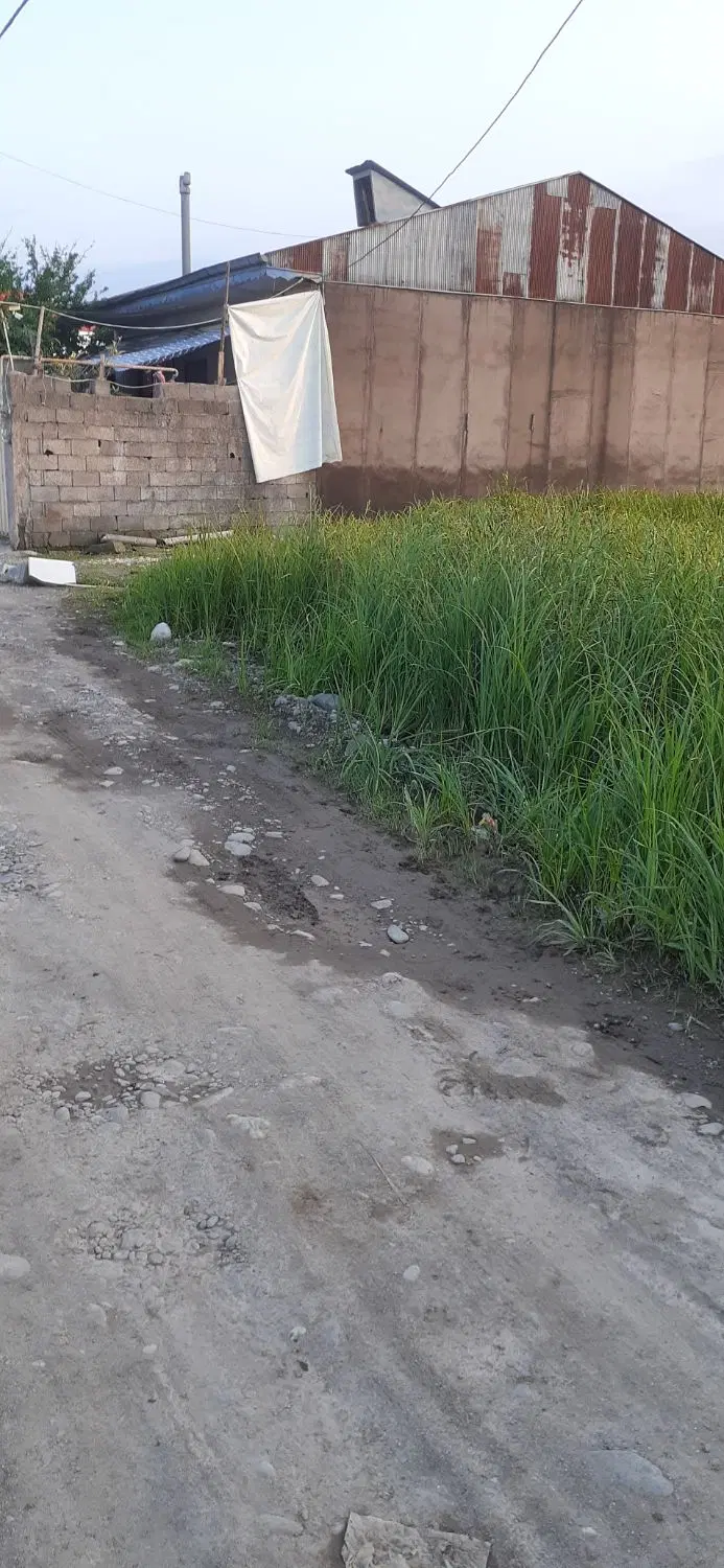 زمین ۱۴۶متری