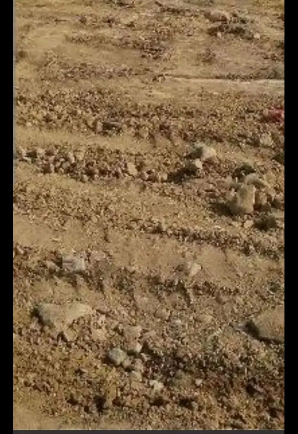 زمین روستای فیروزه