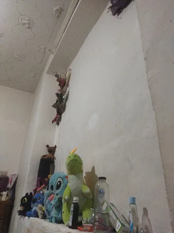همخونه‌ خانوم