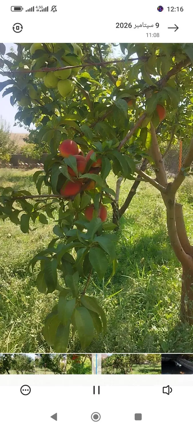 باغ حسن ابدال