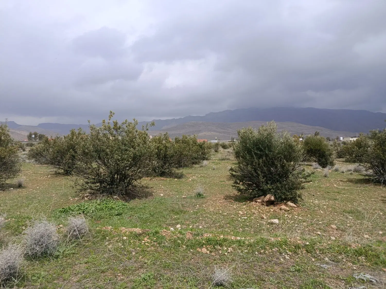 چند قطعه زمین با موقعیت خوب و نزدیک ب شیراز