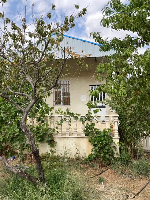 باغ میوه
