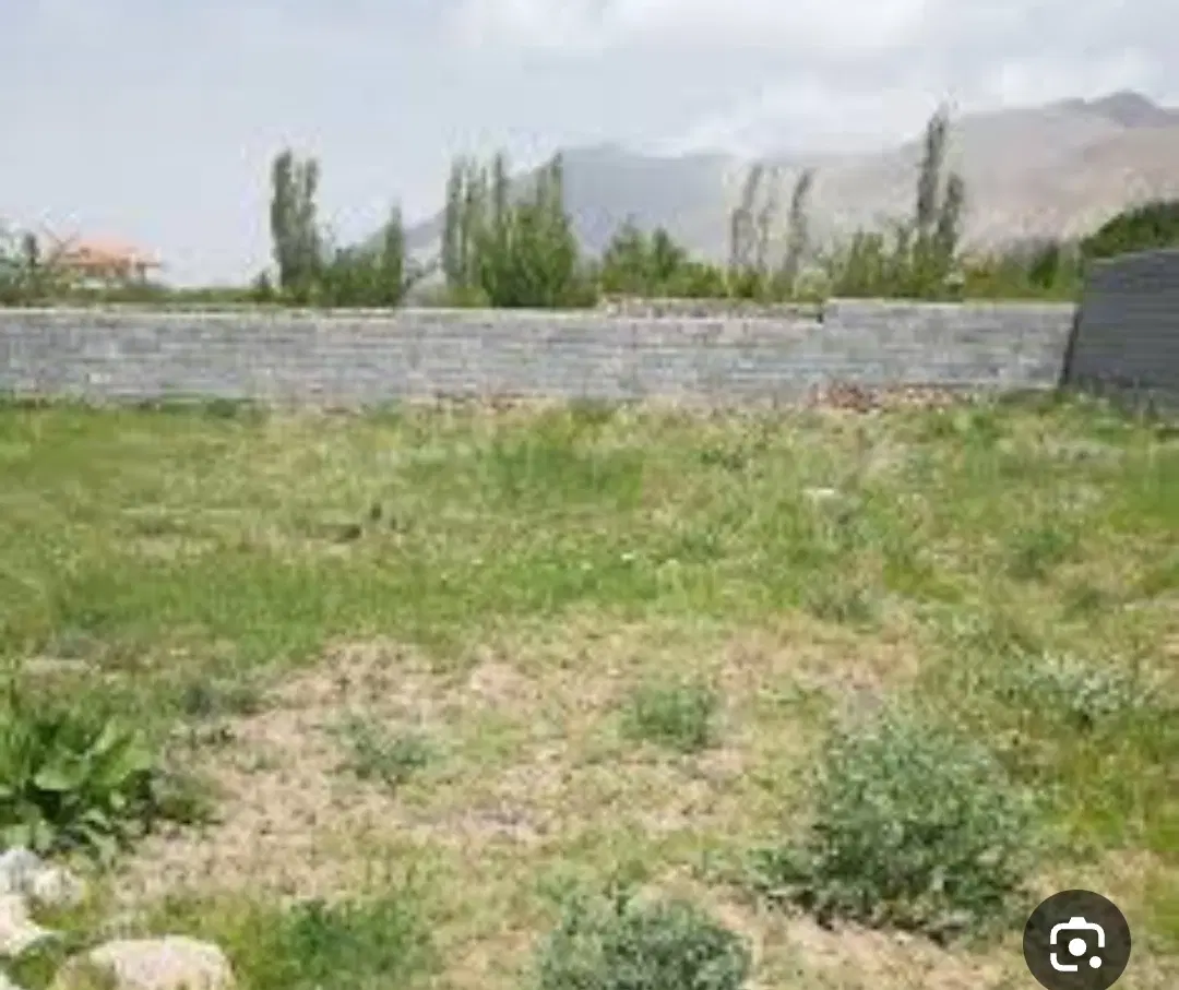 زمین