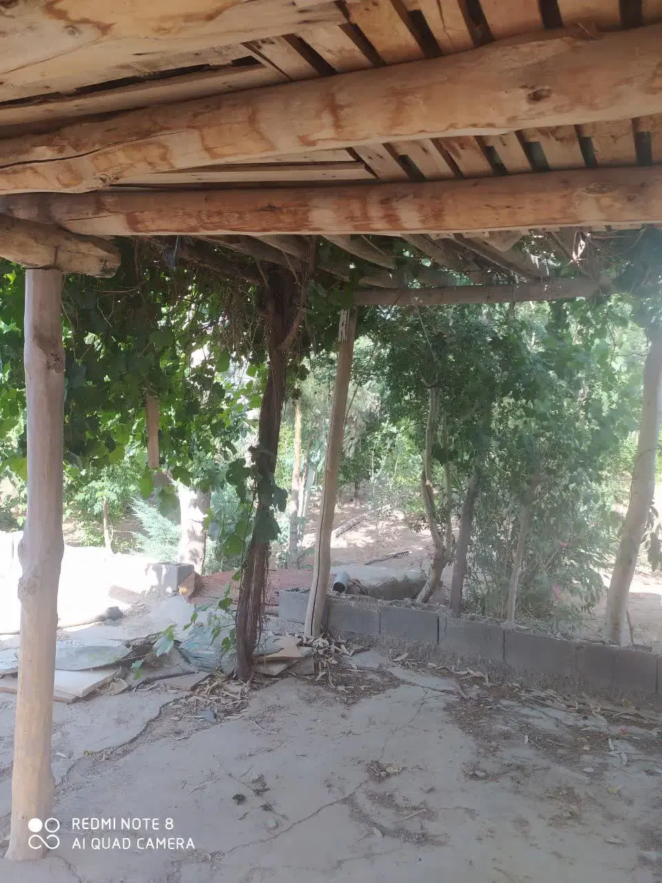 فروش باغ با موقعیت استثنایی