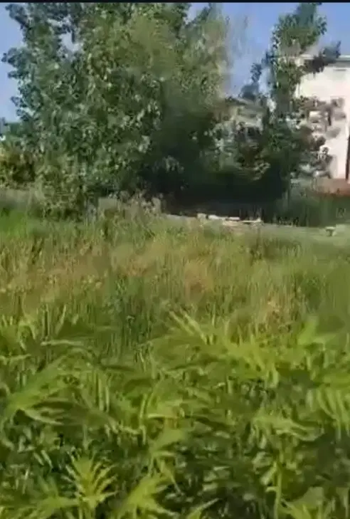 ۲۵۰ متری دهخدا آماده ساخت