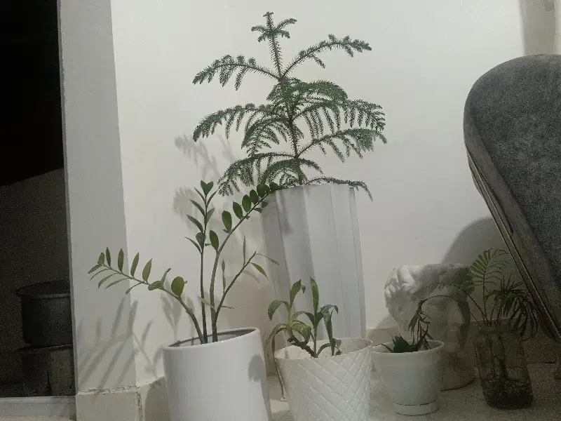 خونه دو خاب کمد دیواری