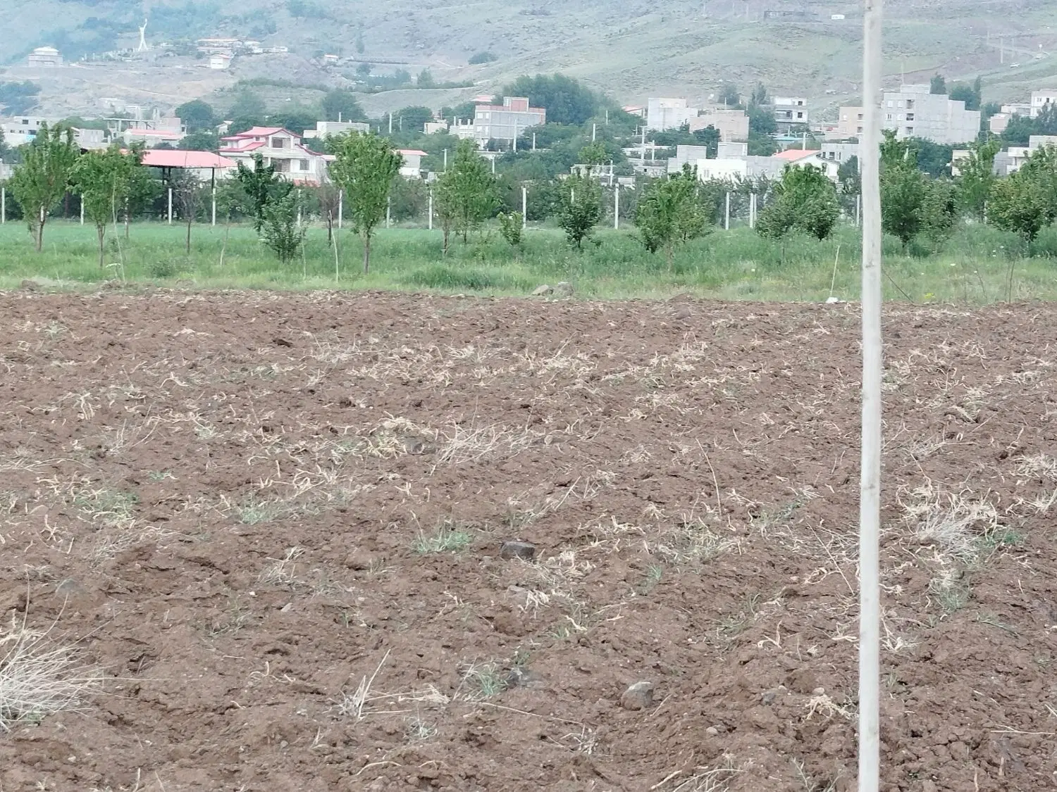 فروش زمین  زراعی