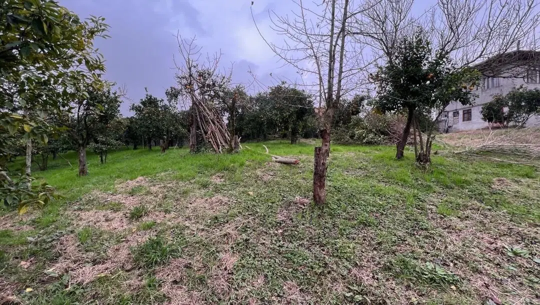 فروش زمین ۷۰۰۰متری در کتالم رامسر