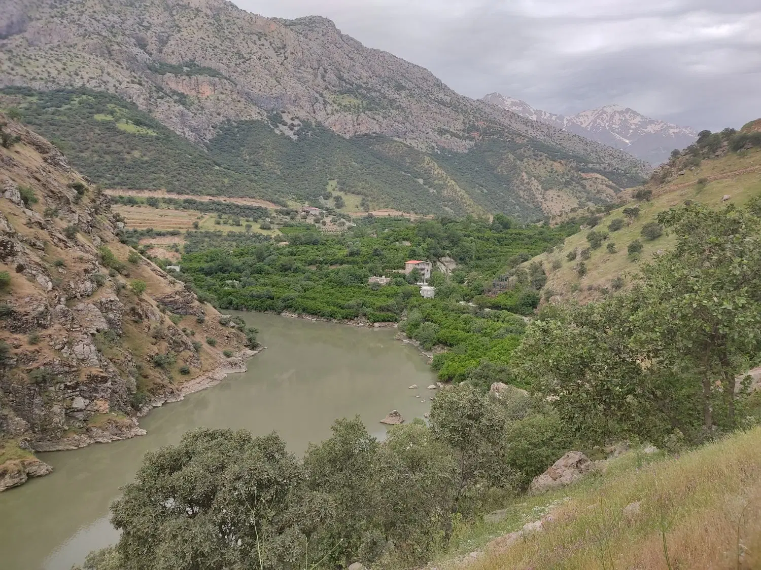 زمین تجاری روستای قار