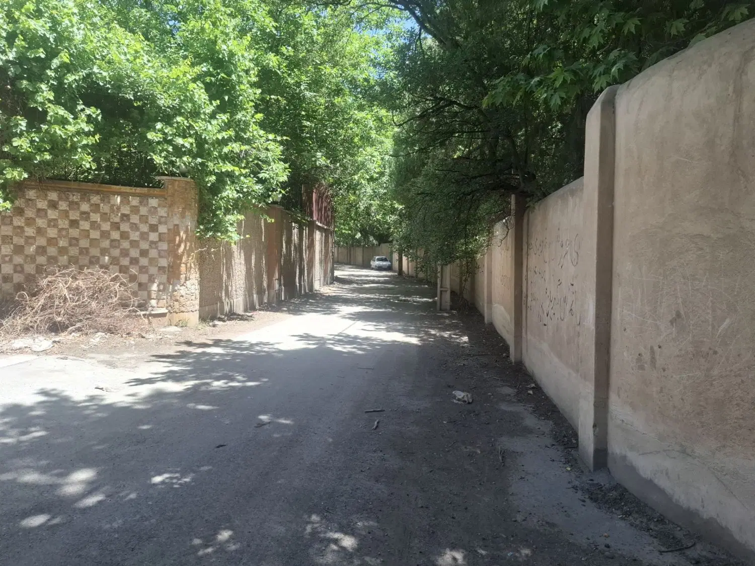 فروش باغچه ۵۳۰۰ متر_ قطعه ای و یکجا