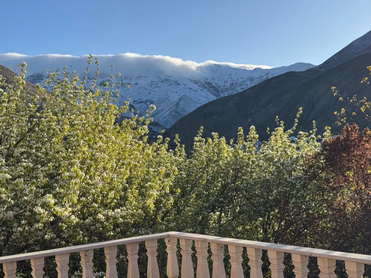 باغ ویلا