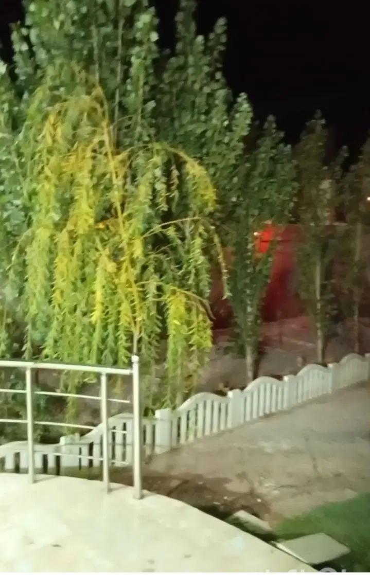 خانه ویلایی