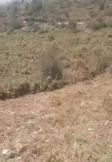 زمینی در ییلاق جواهرده کنارود