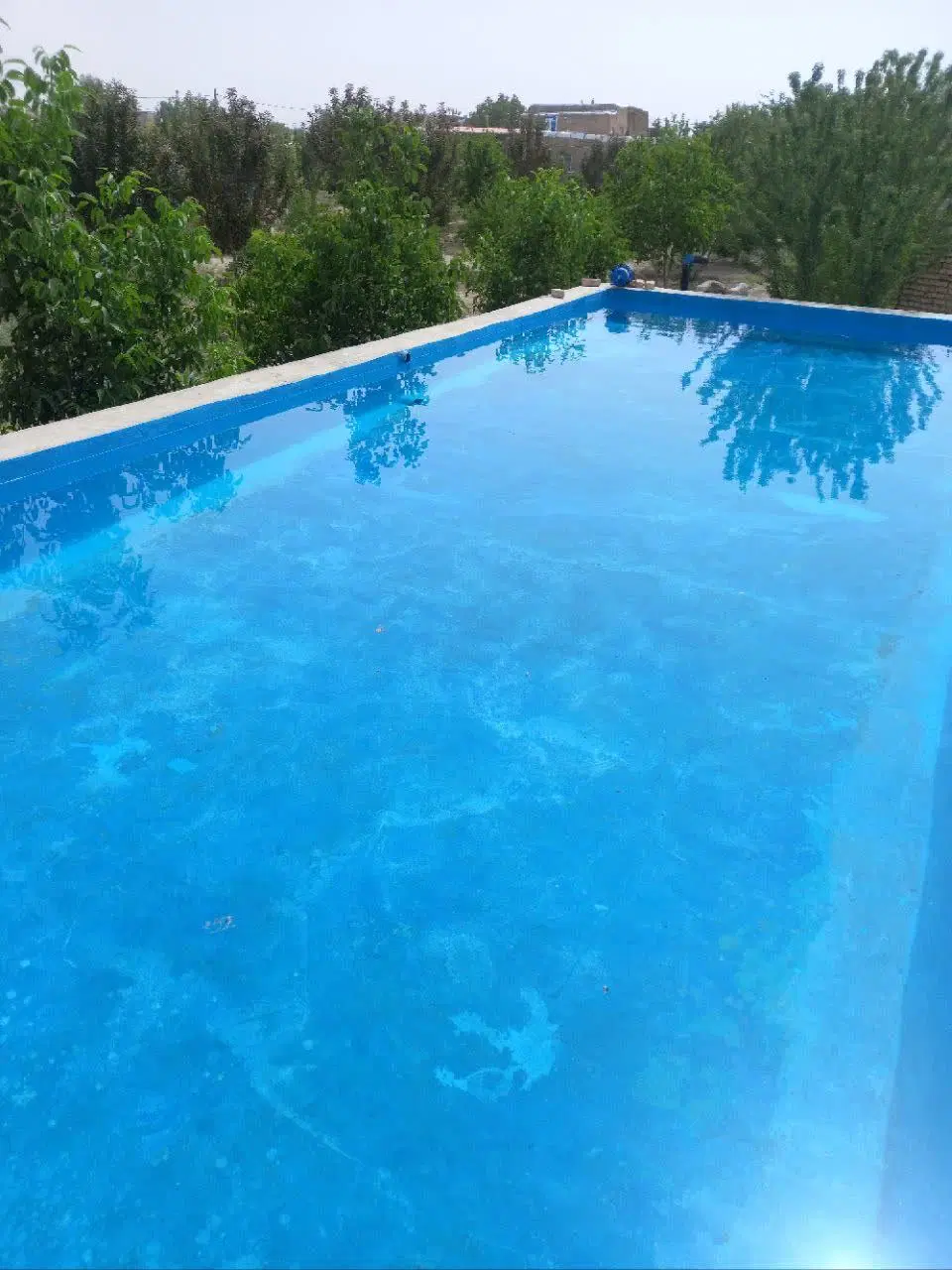 باغ میوه