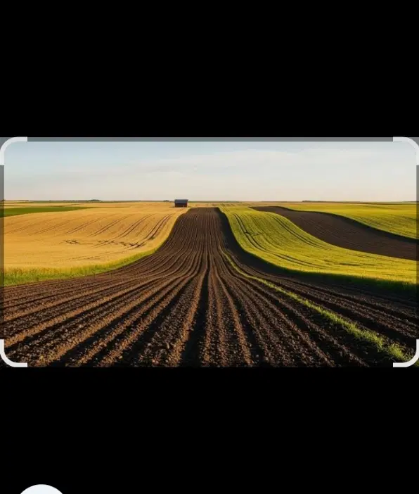 زمین برای اجاره