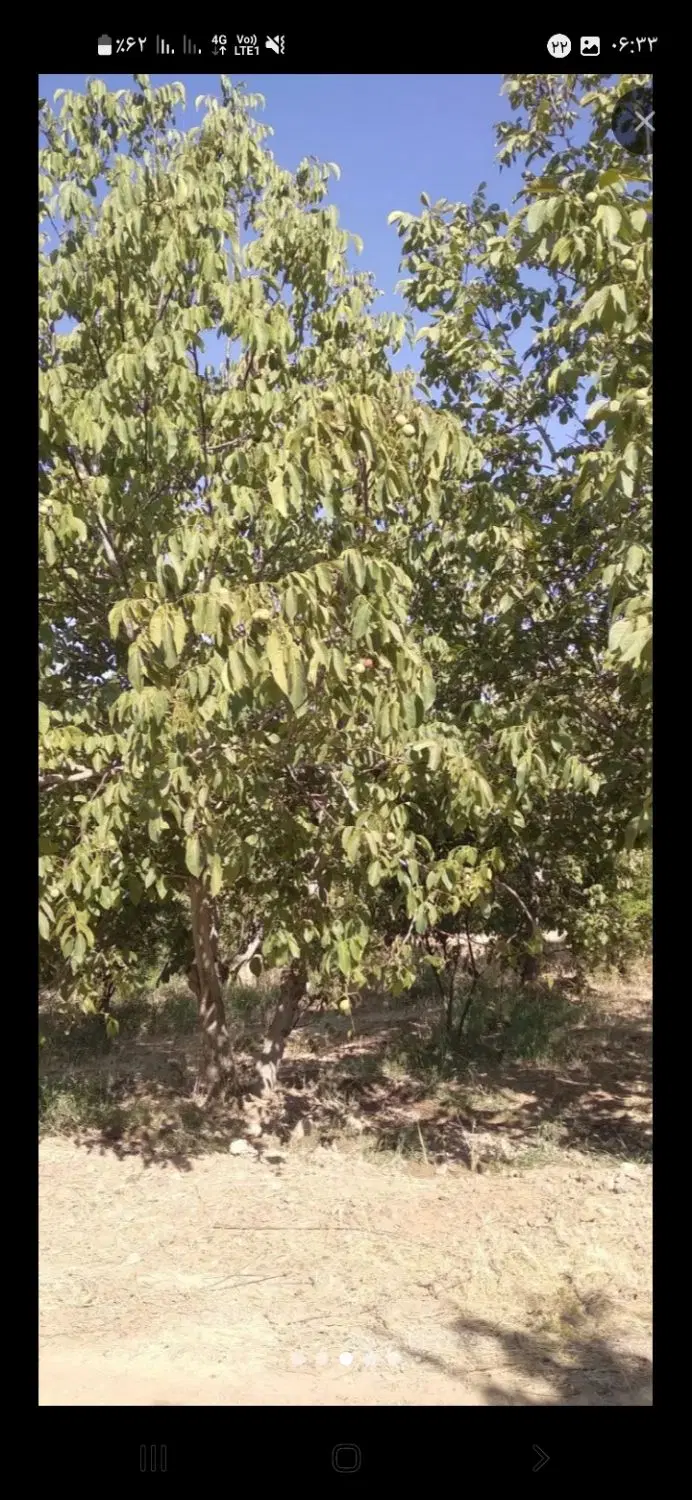 ۵۰۰متر باغ بیستون روستای قشلاق