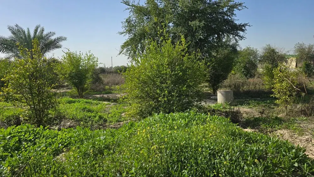 فروش زمین باغ ویلا