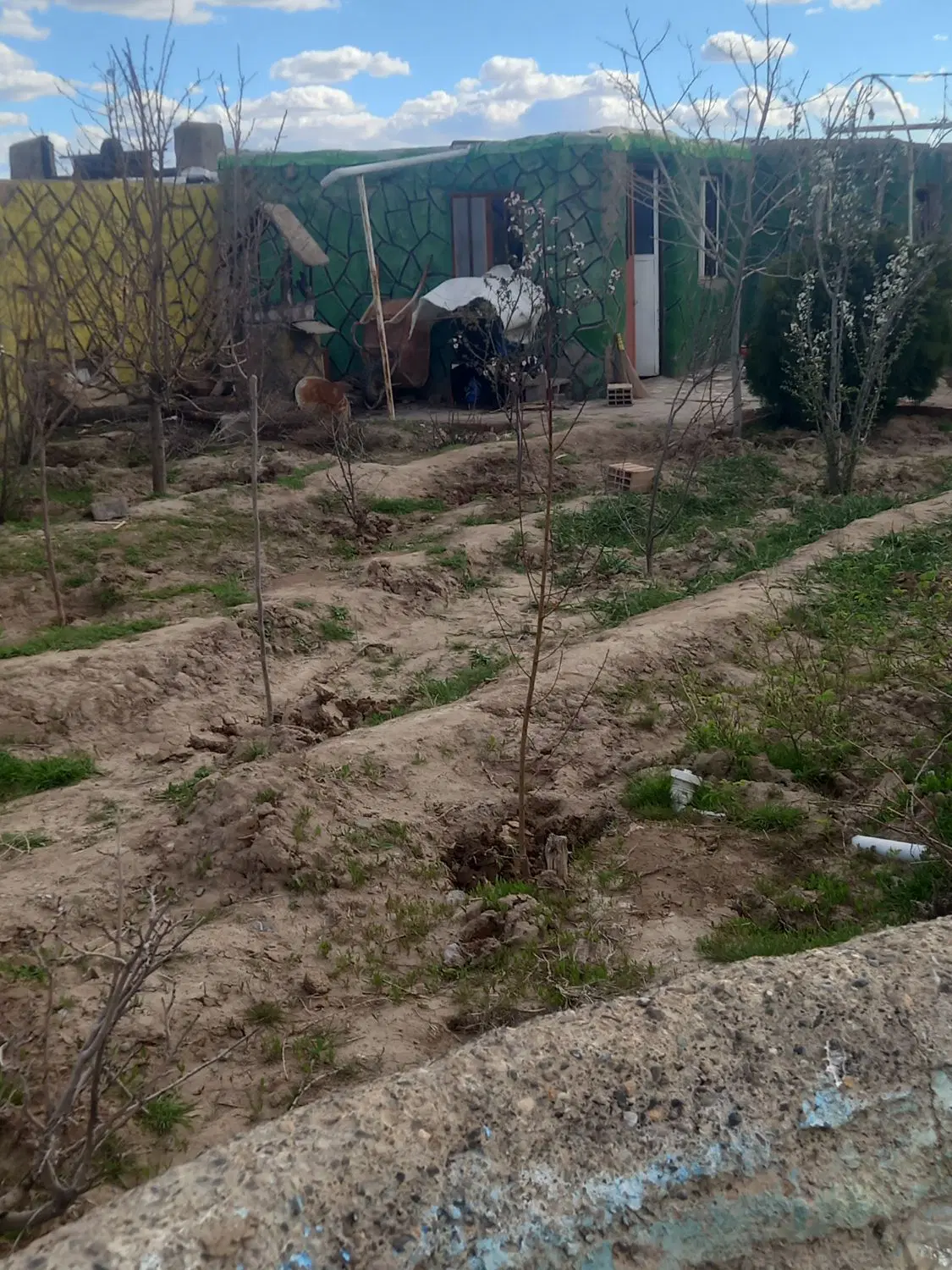 فروش باغ ۷۵۰متری درنظرلو