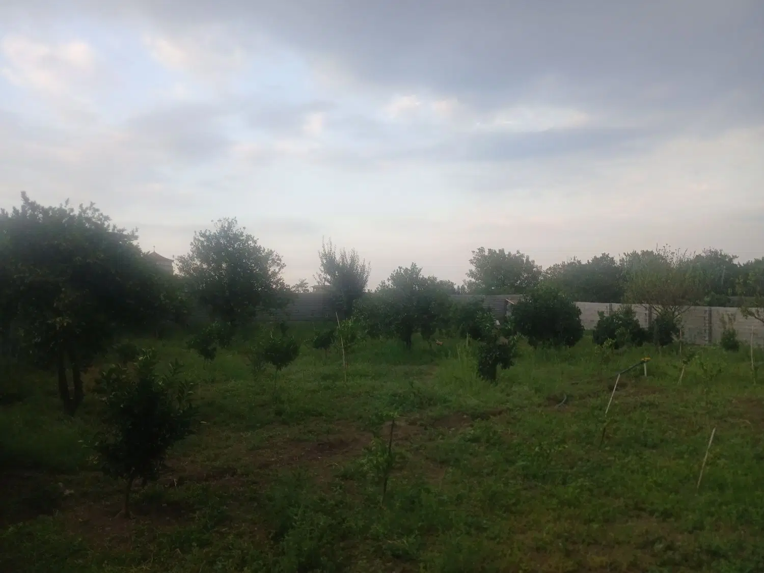 خانه باغ فروشی
