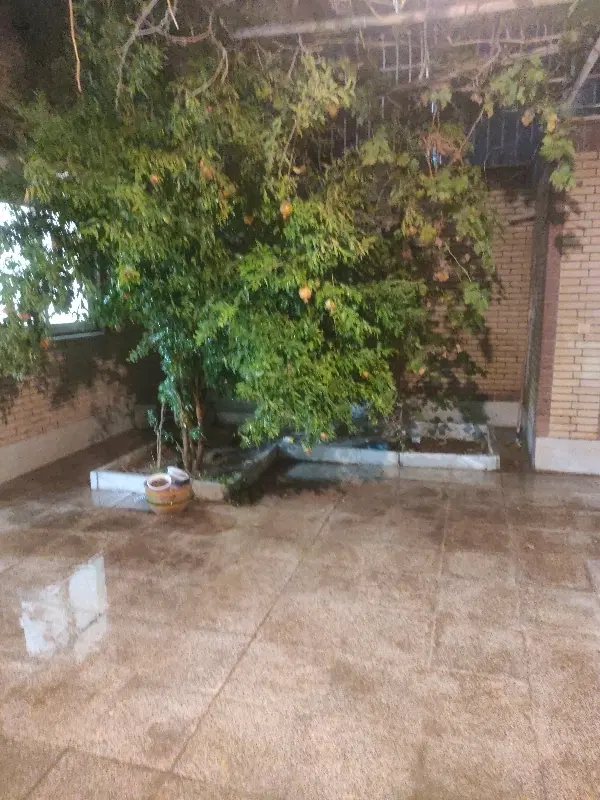 اجاره همکف با حیاط اختصاصی شهرک سیمرغ