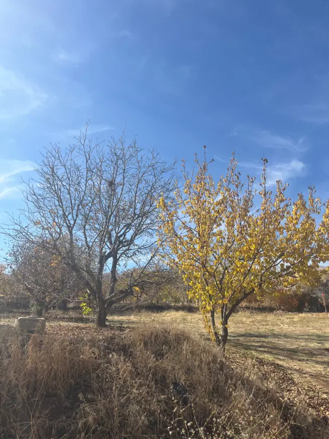 زمین ویلایی مناسب ساخت در بکرترین نقطه سیوان