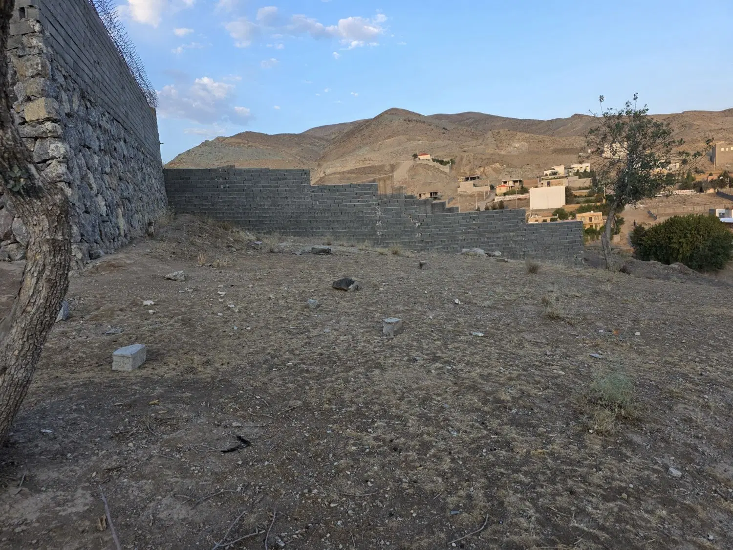 زمین