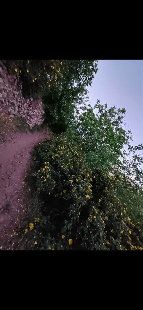 فروش باغ در غرق آباد
