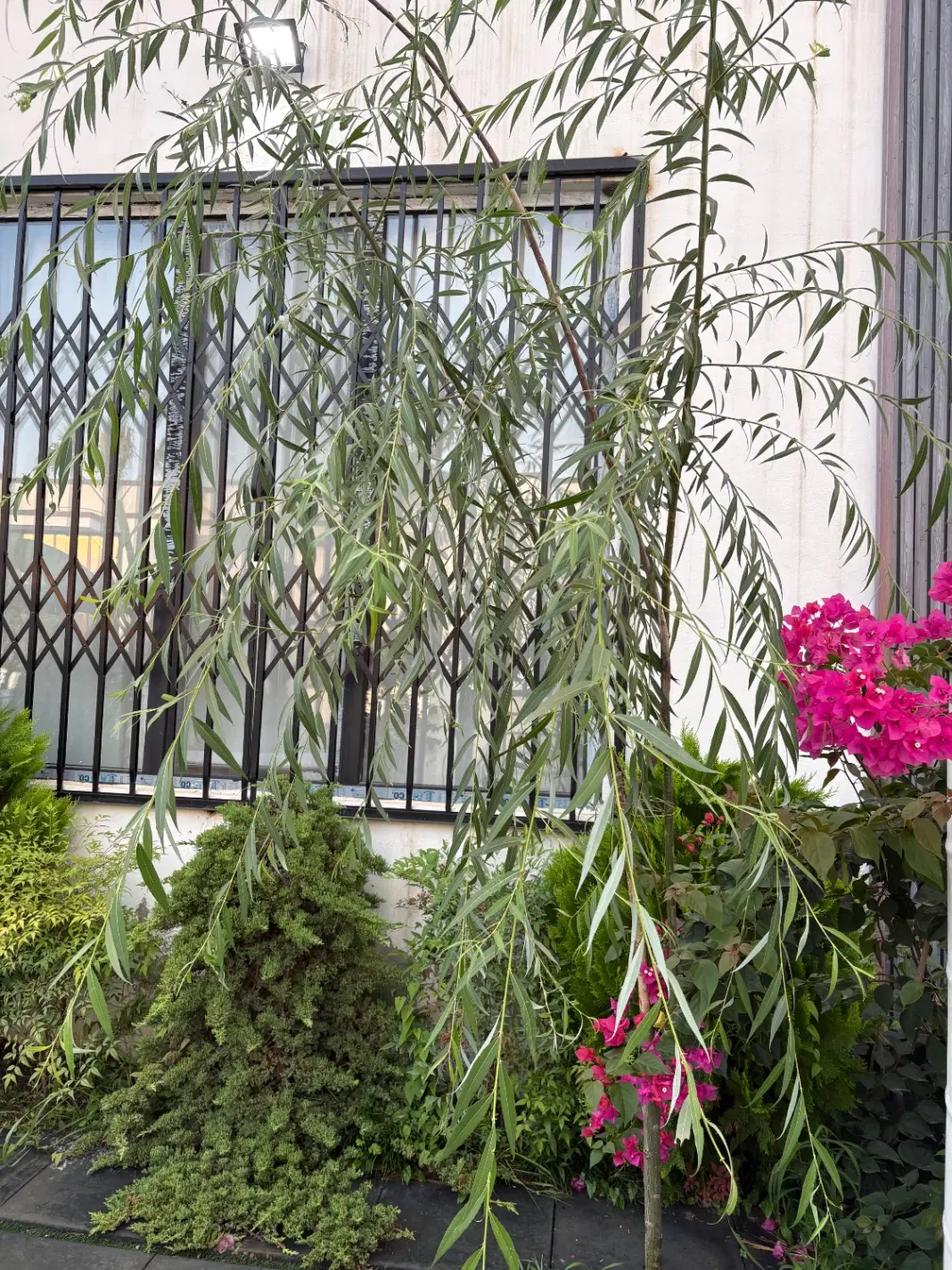فروش ویلای ۱۴۰ متر در نور