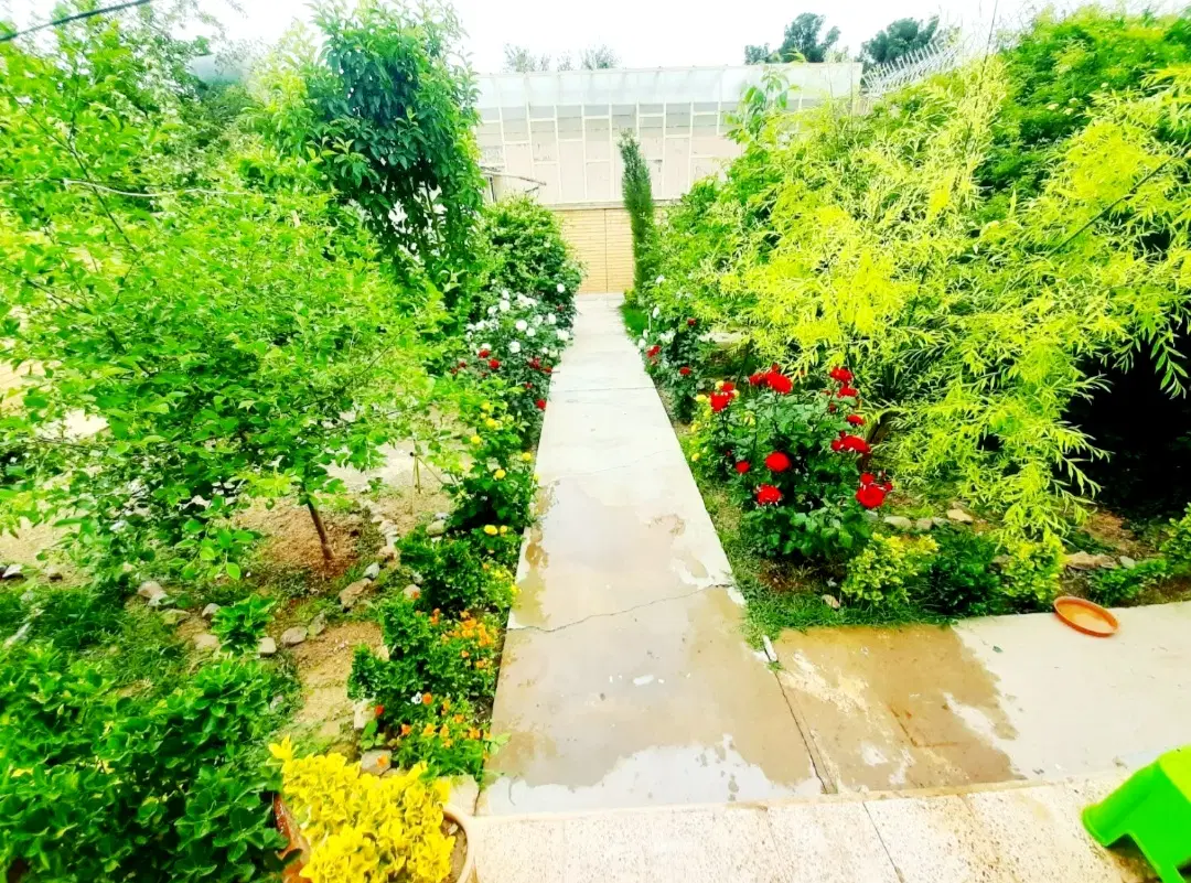 زمین مسکونی،جنوبی،210متر،الهیه