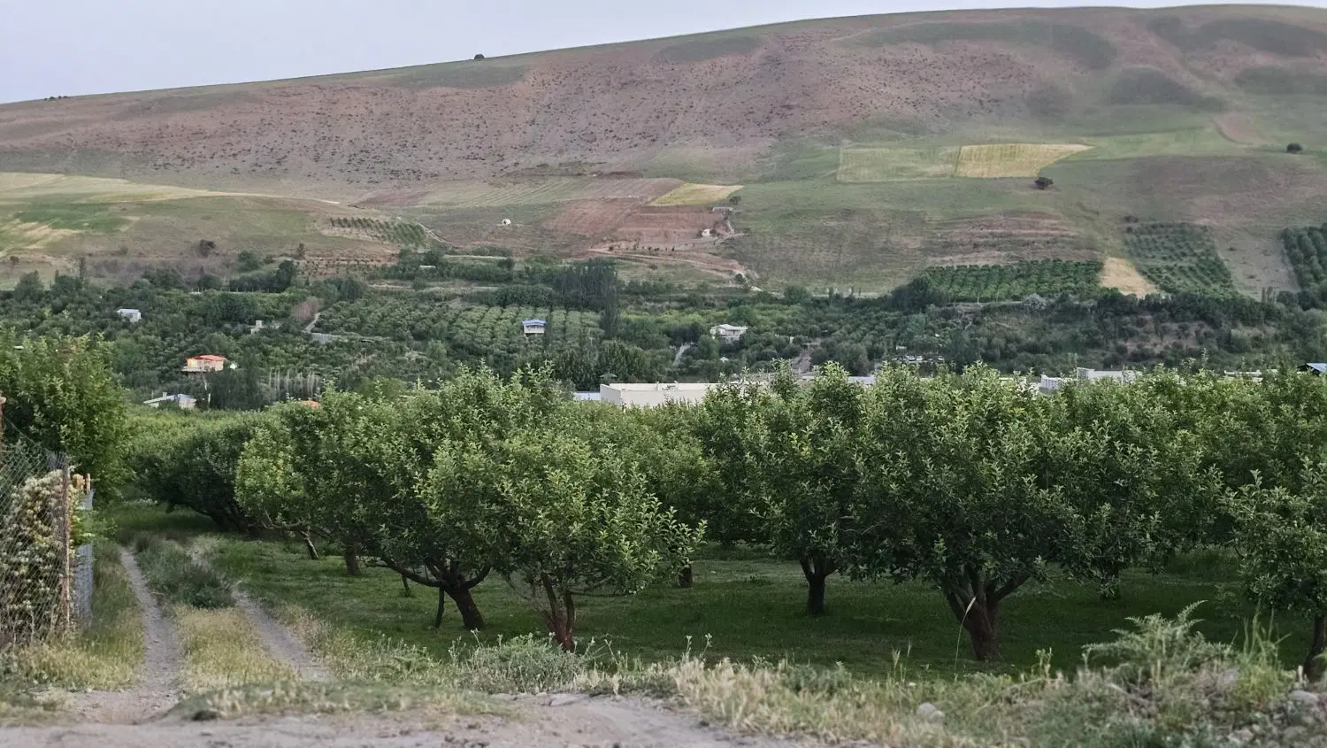 باغ و زمین  نزدیک بافت روستایی