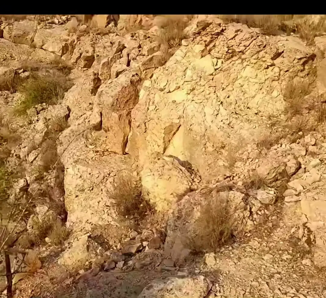 زمین