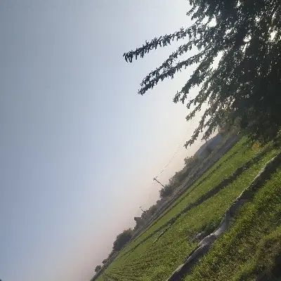 اجاره زمین کشاورزی