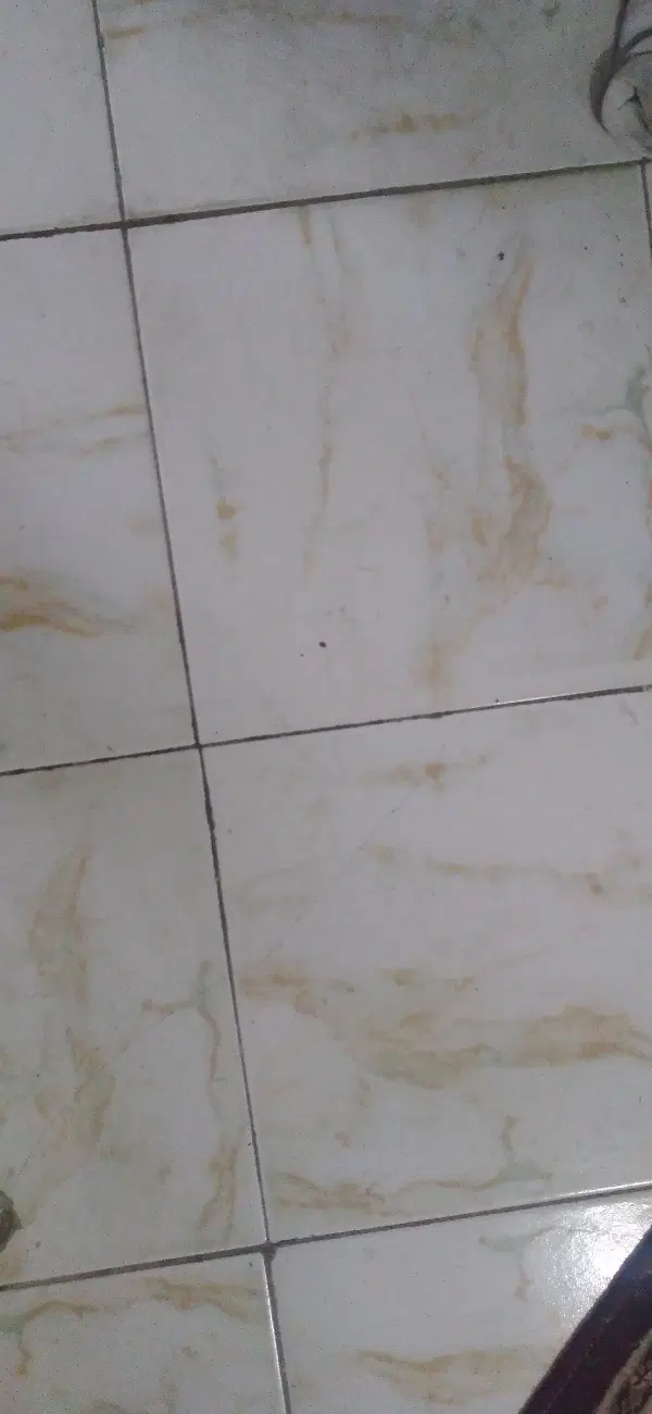 اجاره یک واحد آپارتمان کوچک