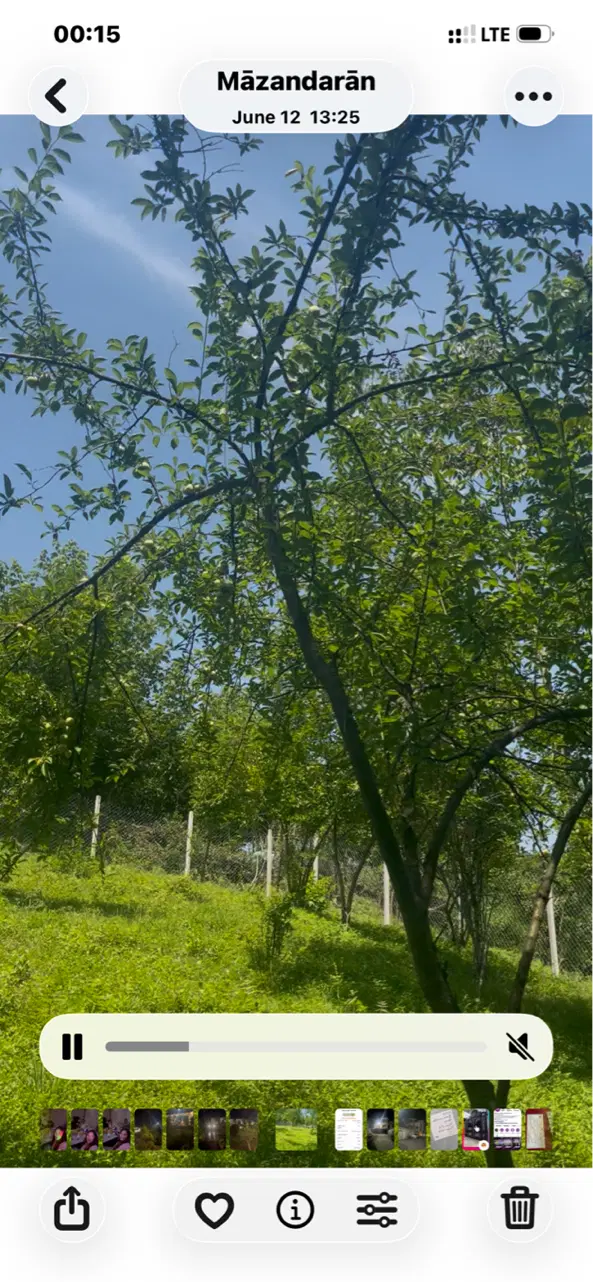 باغچه کوچک جای دنج لب رودخاته