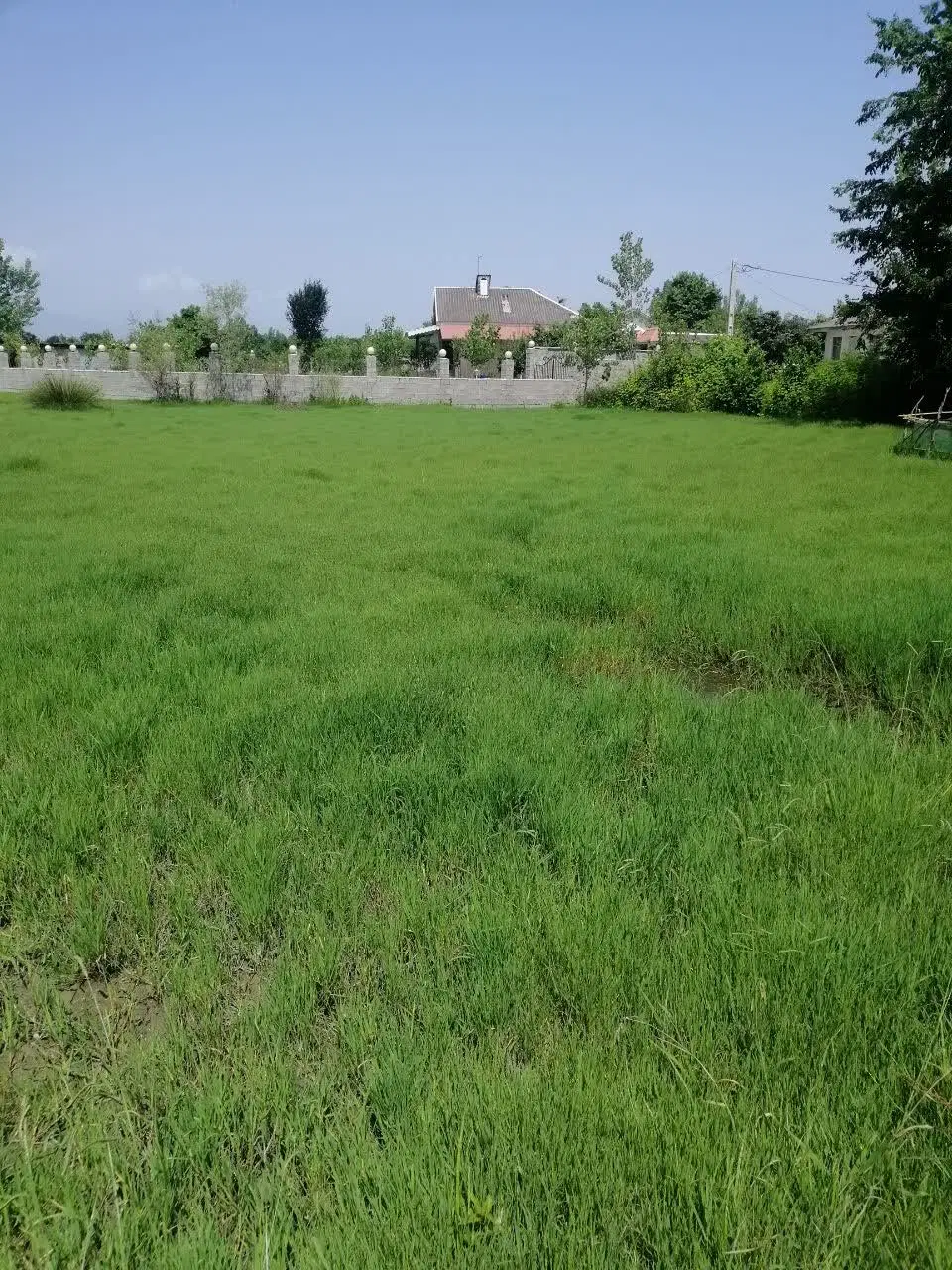 زمین مسکونی فروشی فومن