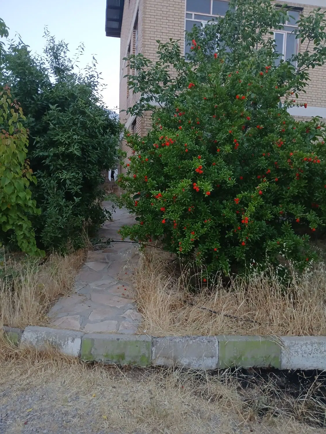 فروش ملک تجاری