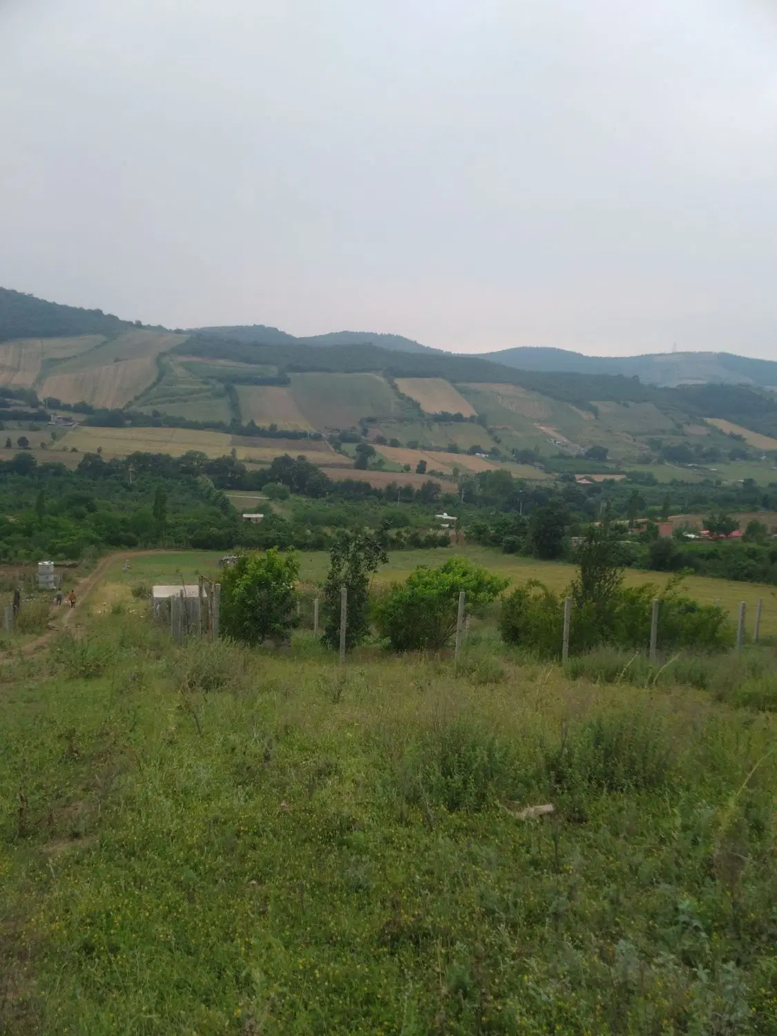 زمین زراعی