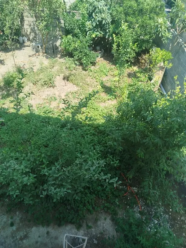زمین ۱۰۰متری سنذددار