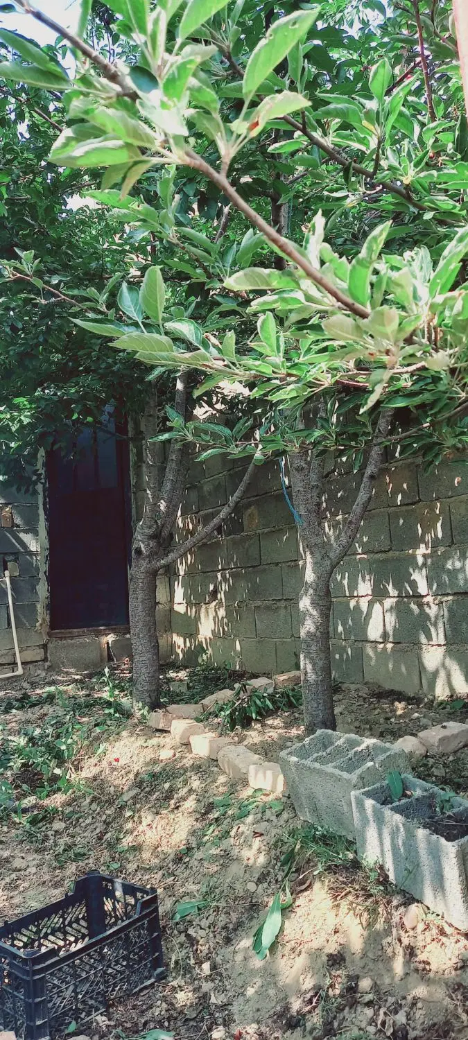 منزل ویلایی روستای چهارباغ