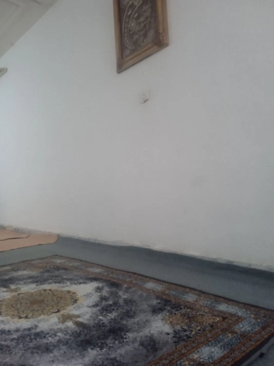 خانه اجاره ای یا همخانه