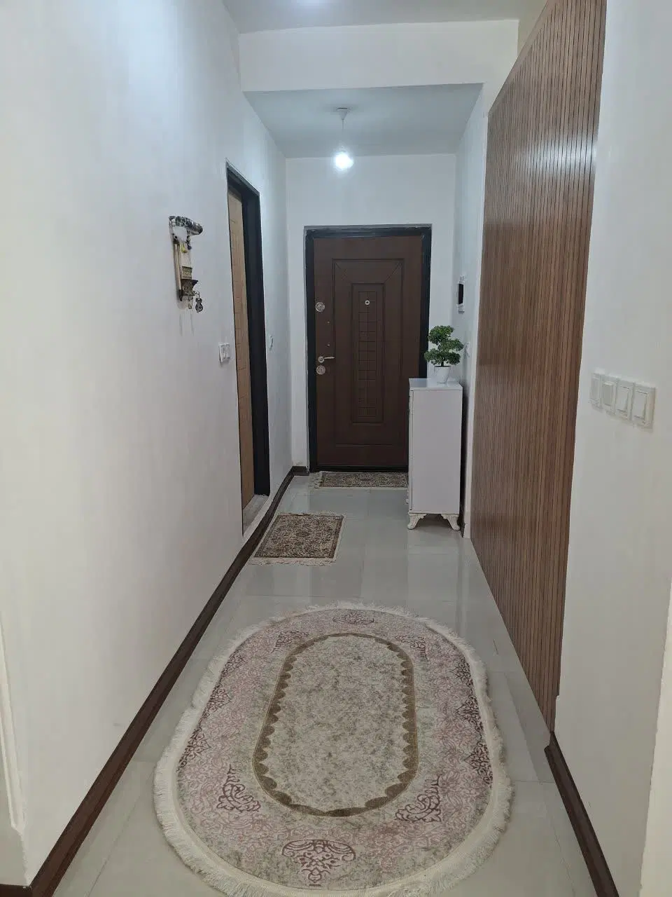 زیتون ۲۳
